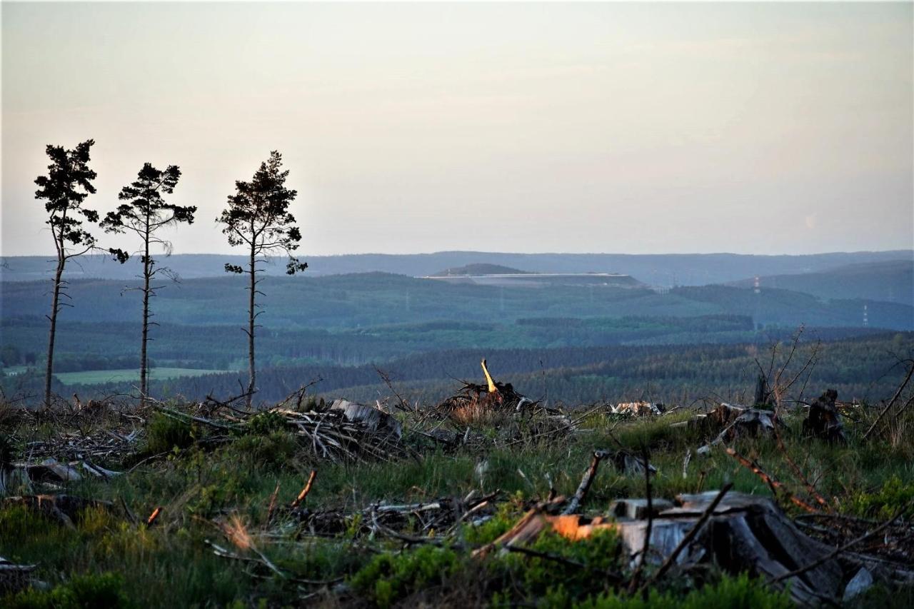 Petite perle en Haute Ardenne avec vue sur la vallée, cabine infra-rouge et bain balnéo Lierneux Extérieur photo